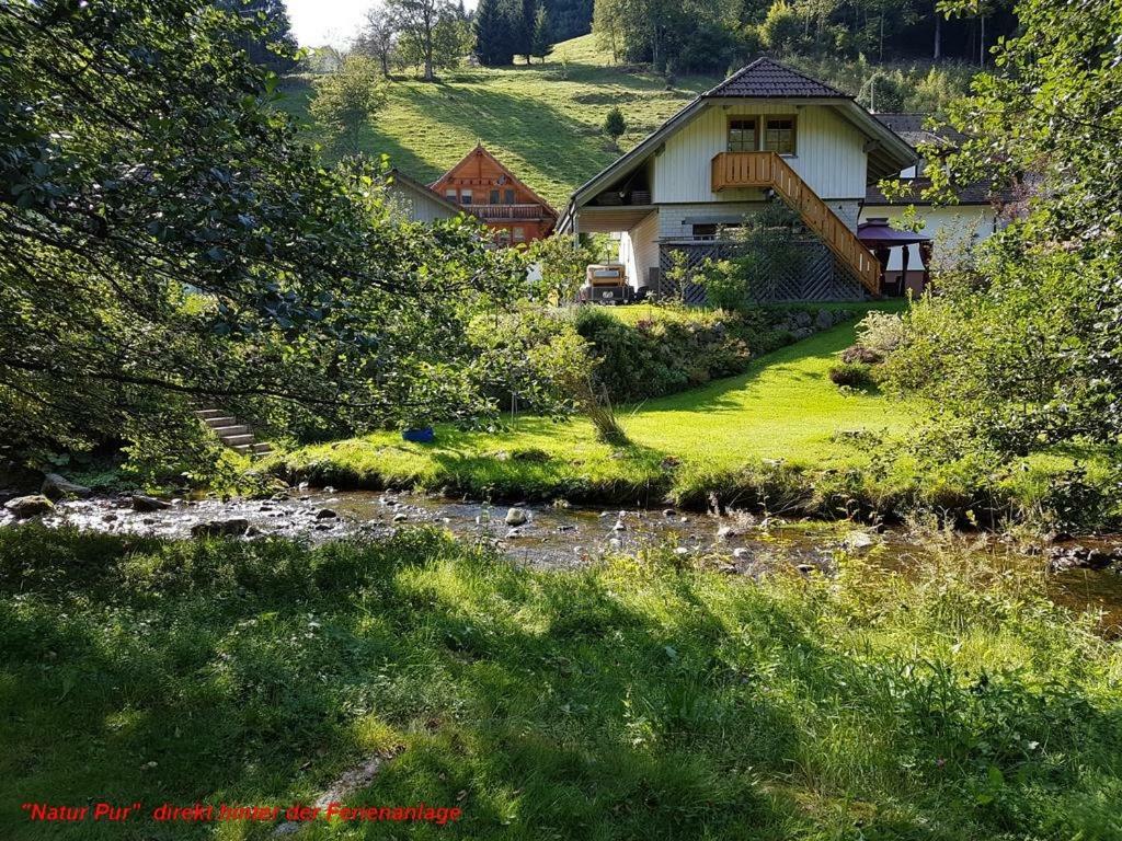 Ferienwohnung Schwarz Todtmoos Luaran gambar