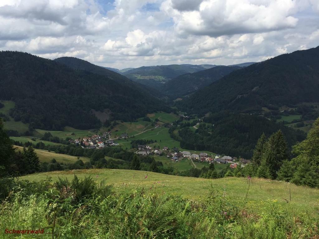 Ferienwohnung Schwarz Todtmoos Luaran gambar