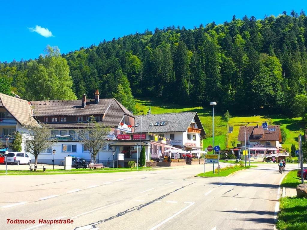 Ferienwohnung Schwarz Todtmoos Luaran gambar