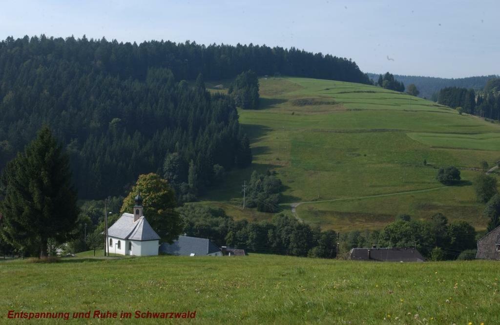 Ferienwohnung Schwarz Todtmoos Luaran gambar