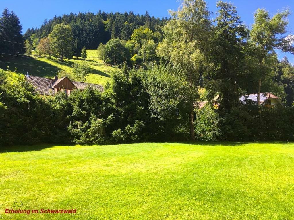 Ferienwohnung Schwarz Todtmoos Luaran gambar