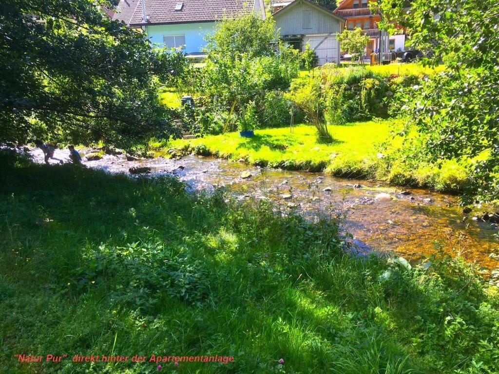 Ferienwohnung Schwarz Todtmoos Luaran gambar