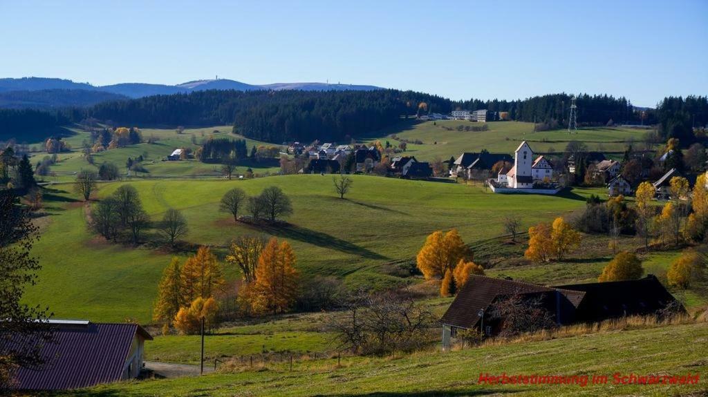 Ferienwohnung Schwarz Todtmoos Luaran gambar